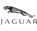 Jaguar Jaguar